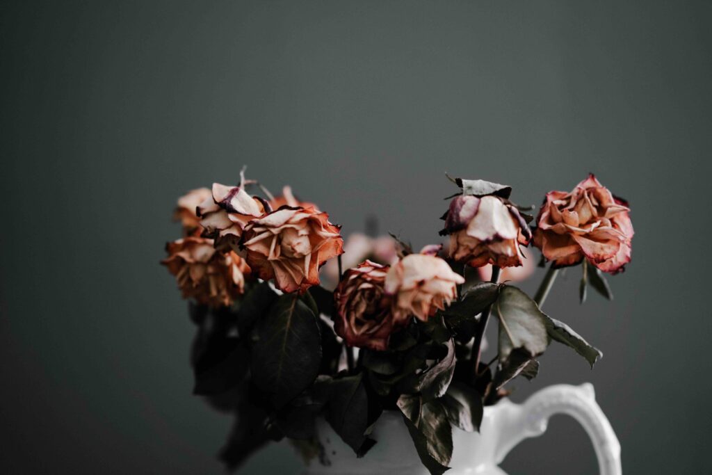 A vase of dead roses.